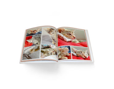 Album standardowy A5 pionowy